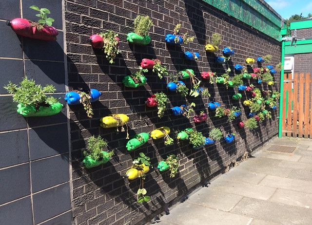 St Edward’s Primary School's bottle flower wall