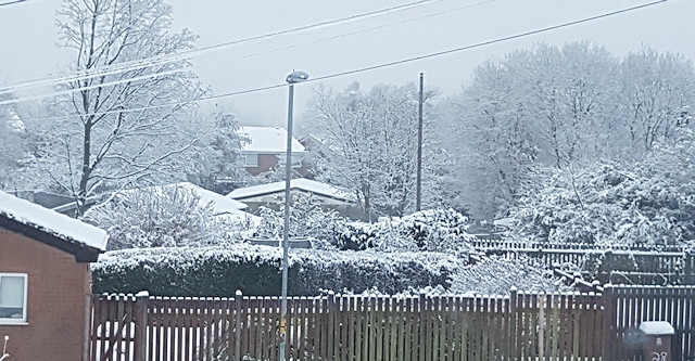 Snow on houses and gardens