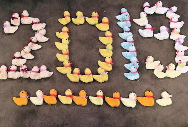 Knitted chicks to sell at Easter to help raise money for Meningitis Research Foundation 