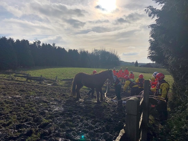 Firefighters rescue horse from mud