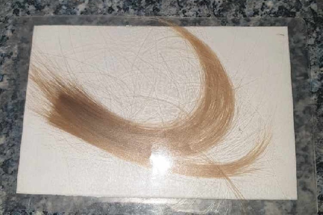 The lock of Ellie Louise Baldwin's hair which was stolen
