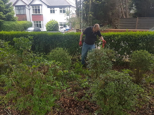 The annual tidy-up of Taylor Park in Norden