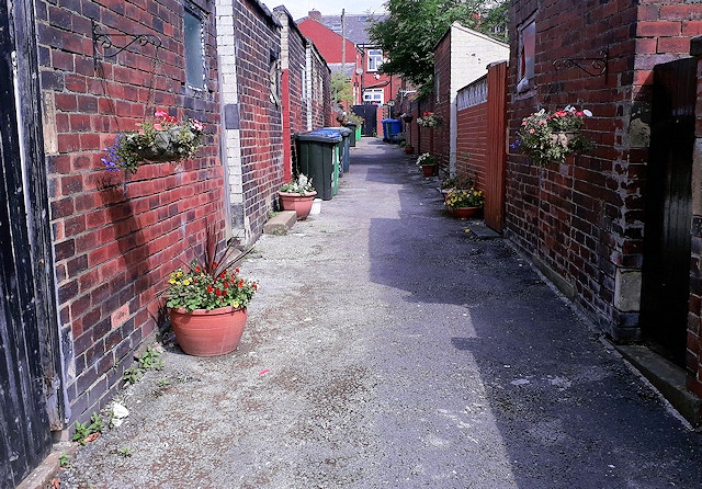 REAG recently adopted a back alley for planting flowers on Cecil Street