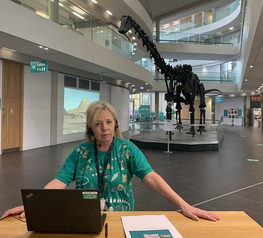 Helen Seymour, education officer for Dippy On Tour, gets ready for a Zoom session with Dippy