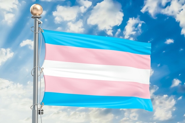 The blue, pink and white trans flag