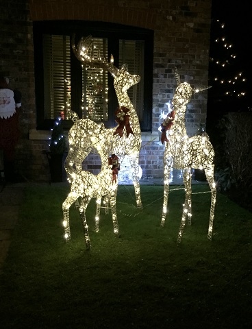 The Christmas lights on Wrenbury Drive, Burnedge