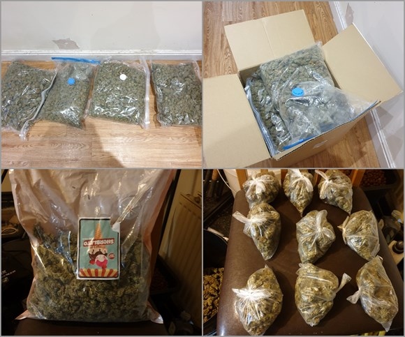The cannabis uncovered is estimated to have a street value of between £50,000 and £60,000