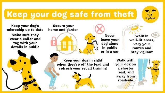 The Dogs Trust, the UK’s largest dog welfare charity, has provided some helpful advice on how to keep your pet safe