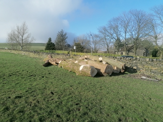Trees cleared from the Littleborough site being used for the Natural Flood Management works