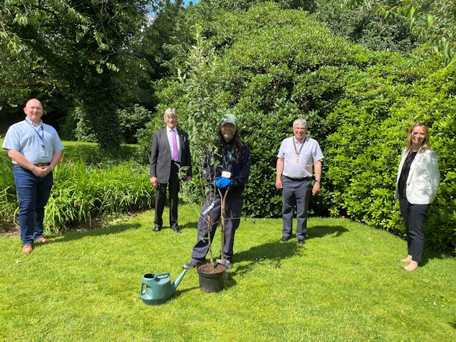 Left to right: Councillor Phillip Massey (Committee member of Rochdale in Bloom), Robert Clegg (Trustee), Nick Dent (Head Gardener), Neil Williams (President of Rotary Club of Rochdale), Sam Wells (Chief Executive)                
