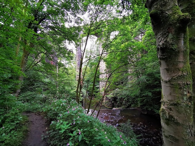 The viaduct in Healey Dell