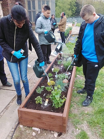 Students from the lower sixth form at Redwood planted up a sensory garden at Hopwood Hall Estate