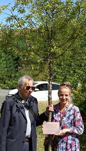 Sue's husband and daughter with the tree