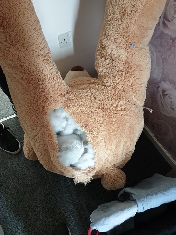 Dobson hid inside this teddy bear toy to avoid arrest