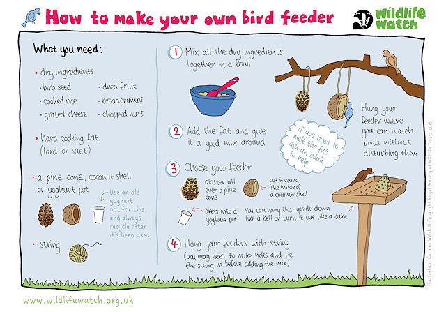 How to build a birdfeeder