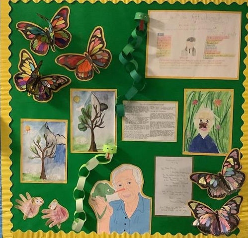 The children's wall display about Sir David Attenborough
