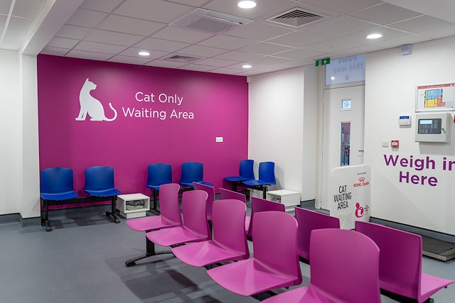 Valentine's Vets has a separate waiting area for cats in its revamped practice