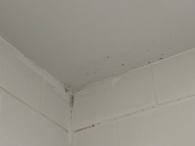 Mould in the bathroom of an RBH home