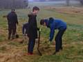 150 trees planted in Milnrow
