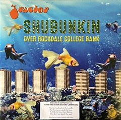 Shubunkin over Rochdale College Bank