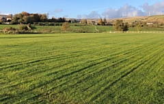 The new pitch at Rutherford Park