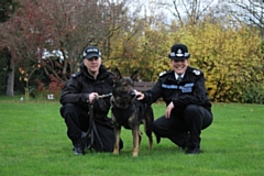 West Mercia Police is one of two forces which has started using Defence Composite's canine harness
