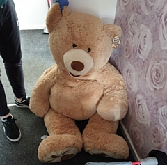 Dobson hid inside this teddy bear toy to avoid arrest