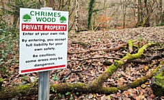 Chrimes Wood, Healey Dell